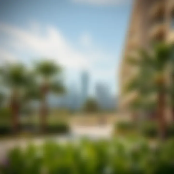 Magnificent A Detailed Exploration of حديقة صقر: Insights into Dubai's Urban Green Space