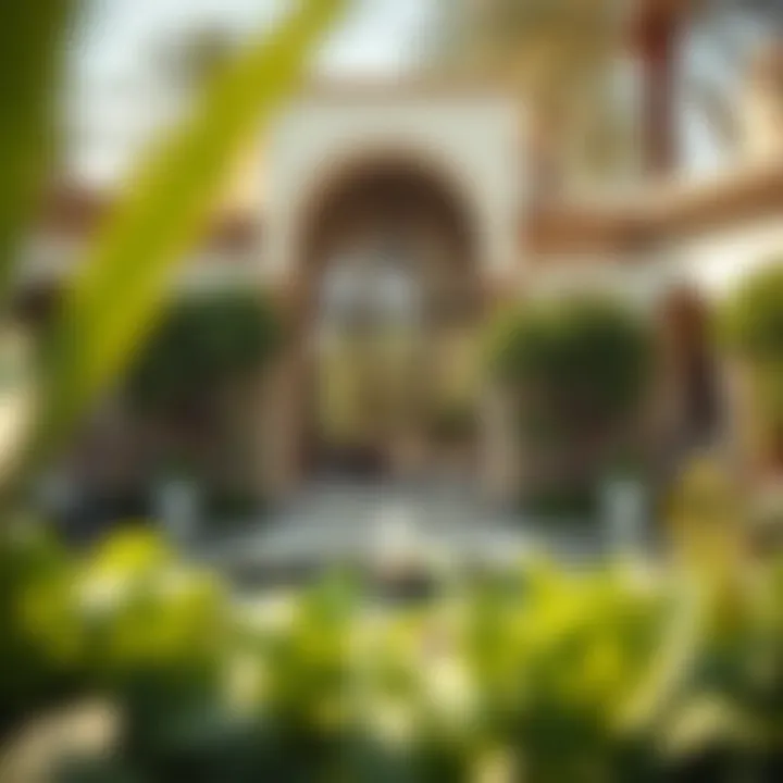 Magnificent Exploring Beautiful Gardens in Dubai Magnificent Exploring Beautiful Gardens in Dubai
