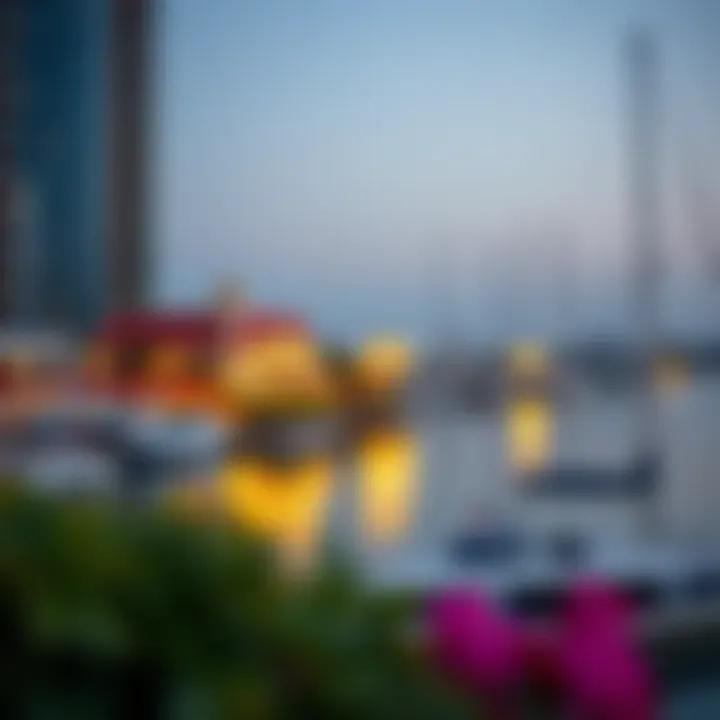 Magnificent Exploring Port de Lamer: A Comprehensive Guide to One of Dubai's Waterfront Gems