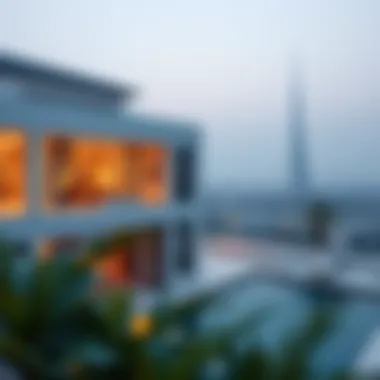 Magnificent Understanding DNRD Visa Status: Implications and Insights