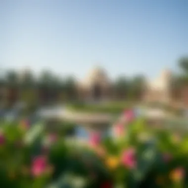 Notable A Comprehensive Overview of Sheikh Mohammed bin Rashid Gardens Notable A Comprehensive Overview of Sheikh Mohammed bin Rashid Gardens