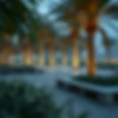 Notable A Detailed Exploration of حديقة صقر: Insights into Dubai's Urban Green Space Notable A Detailed Exploration of حديقة صقر: Insights into Dubai's Urban Green Space