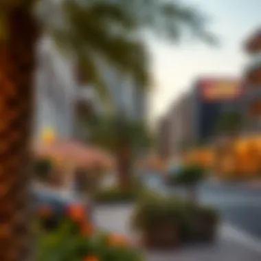 Vibrant Urban Community Vibrant community living in Dubai