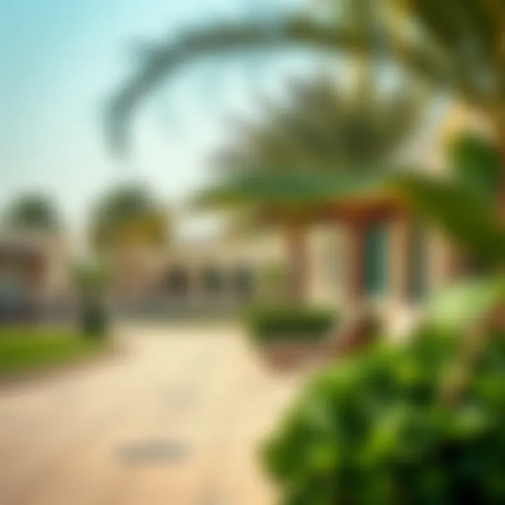 Luxurious Amenities in Al Shaab Village Luxurious amenities available in Al Shaab Village