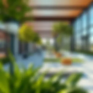 Community Spaces in Central Park Meraas Vibrant community spaces and recreational facilities at Central Park Meraas