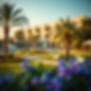 Quality of Life in Dubai Community park illustrating quality of life in Dubai