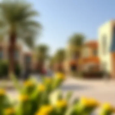 Community and Amenities in Daira Local amenities and vibrant community spaces in Daira