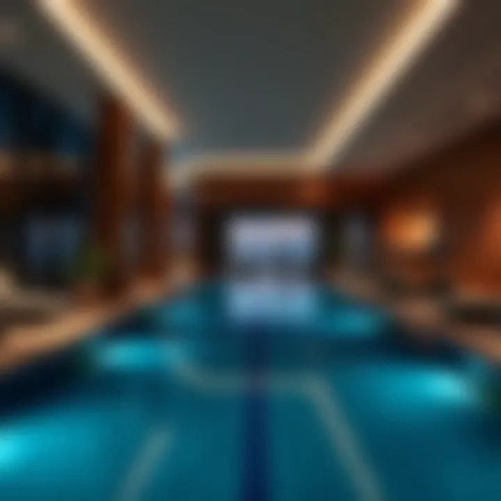 State-of-the-art amenities in Damac Elegance Tower, including pool and gym