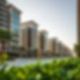 Architectural design of Emaar The Greens