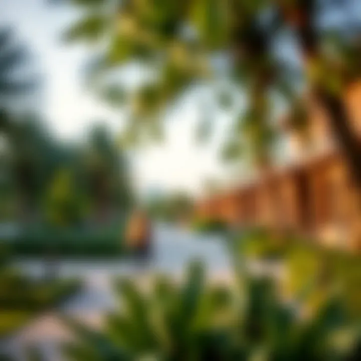 Explore Community Amenities in Emaar The Greens Community amenities at Emaar The Greens