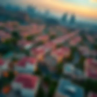 Aerial view of a vibrant Dubai neighborhood