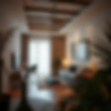 Cozy apartment interiors that reflect affordable living