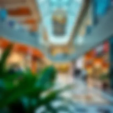 Exploring Affordable Retail Options in Dubai Mall Summary