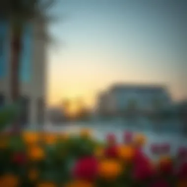 Vibrant lifestyle offerings in Muraqqabat