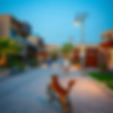 Community Life in Al Hiba Vibrant community lifestyle at Al Hiba