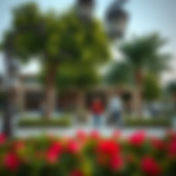 Recreational Areas and Community Gatherings Recreational areas and community gatherings in the park