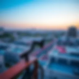 Panoramic view of Al Qusais neighborhood showcasing modern architecture and greenery