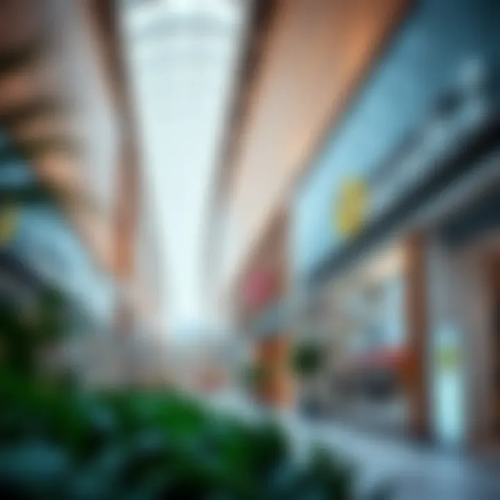 Retail Opportunities in Arabian Ranches 2 Modern retail spaces in Arabian Ranches 2 highlighting shopping options available