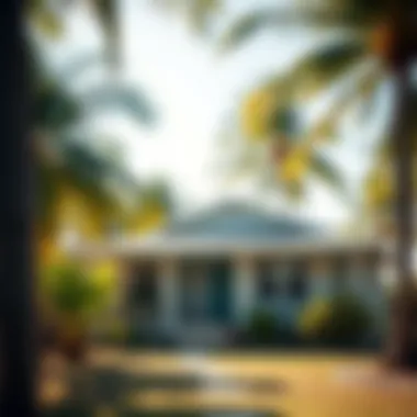 Charming coastal cottage surrounded by palm trees