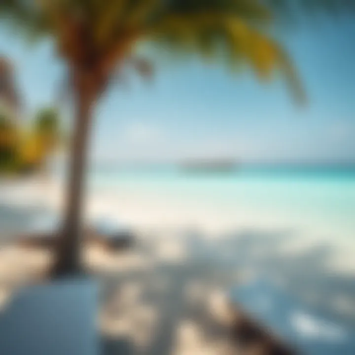 Paradise Beach Getaway A picturesque beach with turquoise waters and palm trees