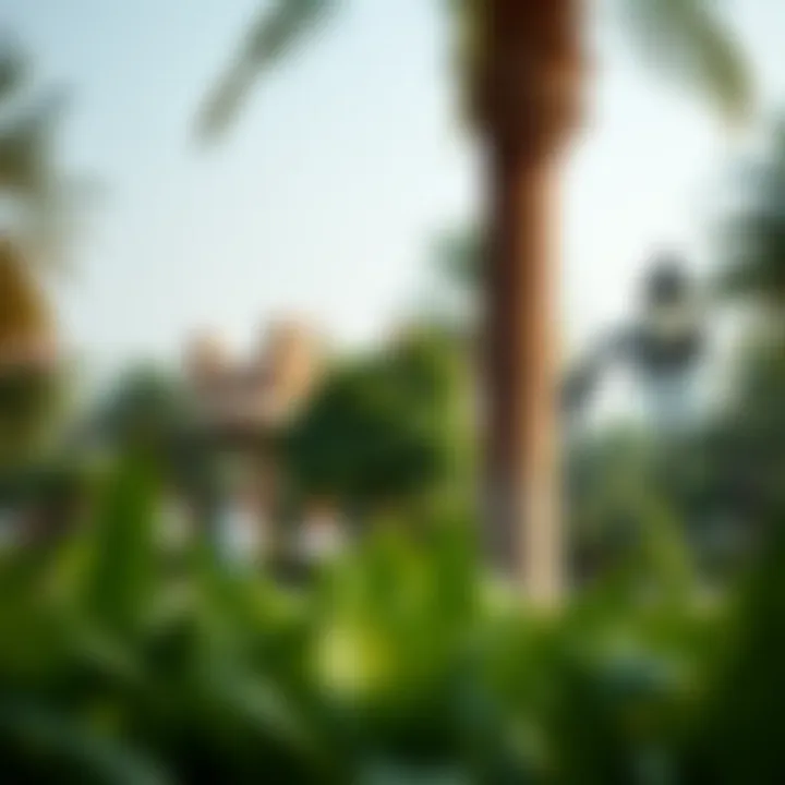 A Serene Oasis in the Heart of Dubai Tranquil park scene with lush greenery