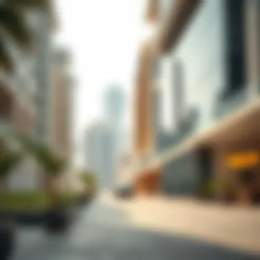 An engaging infographic illustrating market trends in Sharjah real estate