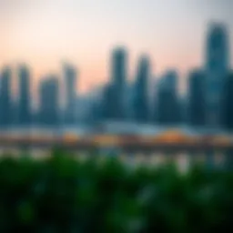 Skyline view of Dubai showcasing modern architecture