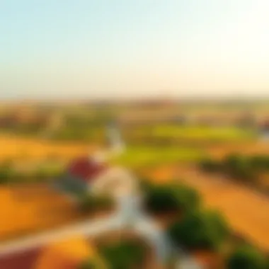 Aerial view of Ras Al Khaimah showcasing lush landscapes and farmhouses