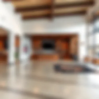 Exploring Rad Sports in Studio City: A Comprehensive Insight Summary