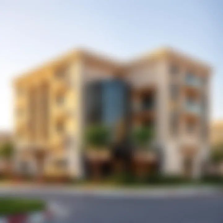 Exploring Sales Dynamics in Dubai's Real Estate Market Summary