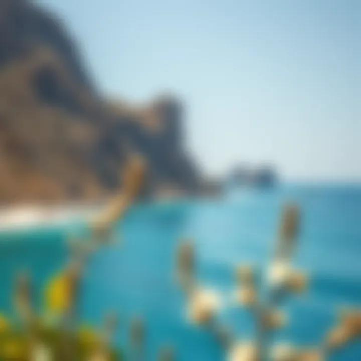 Coastal Bliss: Unwind by the Sea Stunning coastline of a nearby beach destination