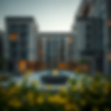 Notable Exploring the 1 BHK Concept in Dubai's Real Estate Market Notable Exploring the 1 BHK Concept in Dubai's Real Estate Market