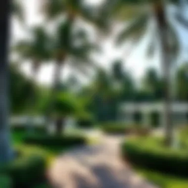 Natural Beauty and Community Living A serene park in Palm Beach, highlighting the community's lifestyle and natural beauty