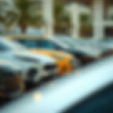 A Wide Range of Vehicles to Choose From Diverse vehicle options available for rent