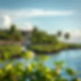 Exploring the Characteristics and Importance of Mangrove Beaches Introduction