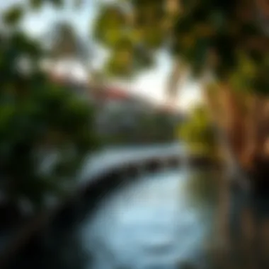 Notable Exploring the Characteristics and Importance of Mangrove Beaches Notable Exploring the Characteristics and Importance of Mangrove Beaches