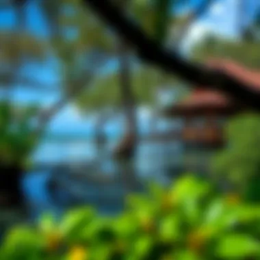 Exploring the Characteristics and Importance of Mangrove Beaches Summary Exploring the Characteristics and Importance of Mangrove Beaches Summary