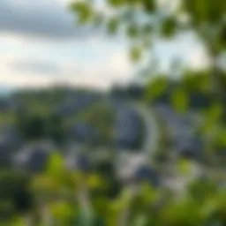 Lush green landscape of a sustainable community