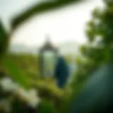 Lush greenery of Hadiqat Al-Quran