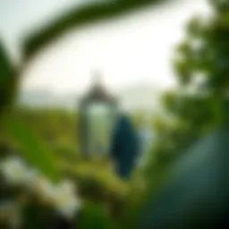 Lush greenery of Hadiqat Al-Quran