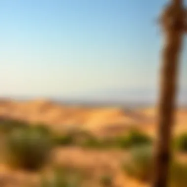 Mesmerizing Dubai Desert Views A tranquil desert landscape showcasing the beauty of nature in Dubai