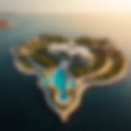 Stunning aerial view of النخله دبي's palm-shaped island showcasing luxury villas and resorts