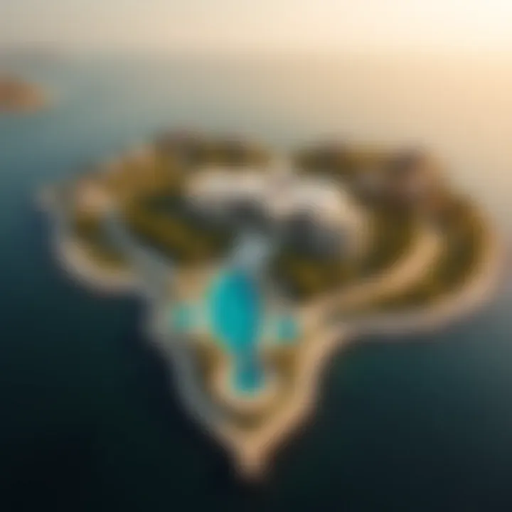 Aerial View of النخله دبي Stunning aerial view of النخله دبي's palm-shaped island showcasing luxury villas and resorts