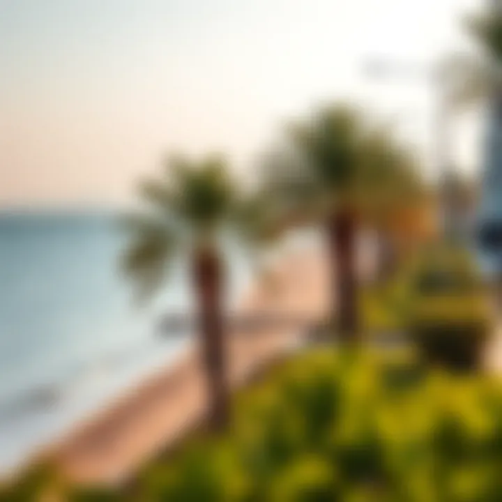 Beachfront Scene at النخله دبي Vibrant beachfront scene at النخله دبي, featuring palm trees and crystal-clear waters