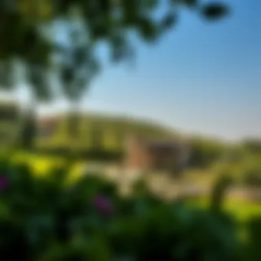 Serene Green Spaces at كورنيش الممزر Lush green landscapes surrounding the كورنيش الممزر