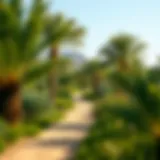 Exploring the Nad Al Sheba Forest Trail: A Comprehensive Guide Introduction