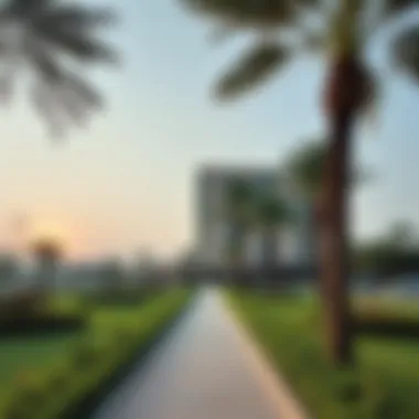Amenities and Green Spaces Around ذا فالي دبي Surrounding amenities and green spaces near ذا فالي دبي