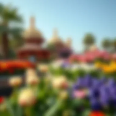 Notable Exploring the Wonders of Miracle Garden Notable Exploring the Wonders of Miracle Garden
