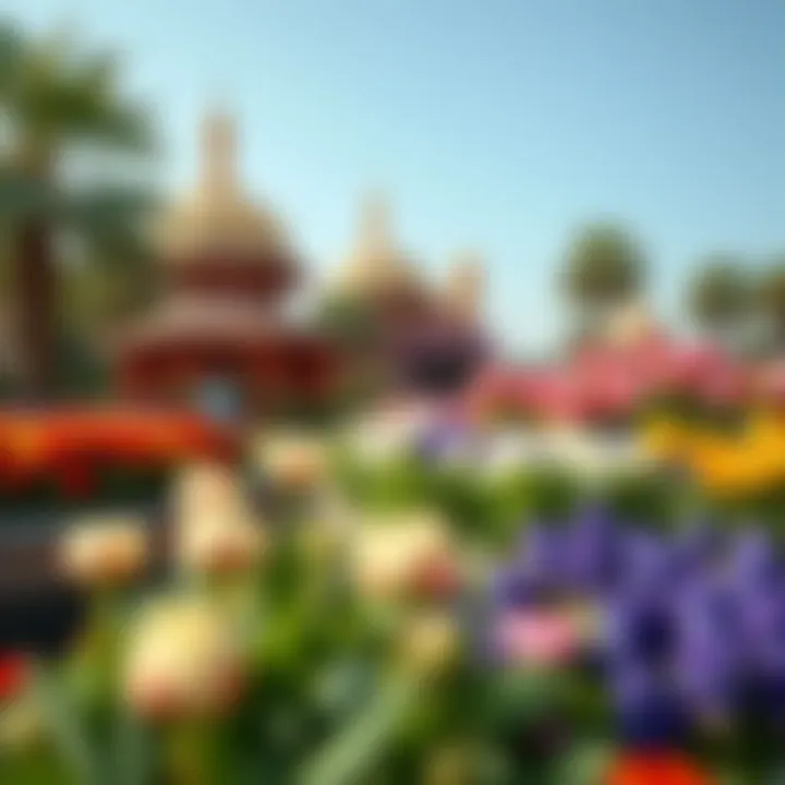 Notable Exploring the Wonders of Miracle Garden Notable Exploring the Wonders of Miracle Garden