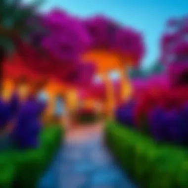 Exploring the Wonders of Miracle Garden Summary Exploring the Wonders of Miracle Garden Summary